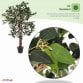 Artificial Ficus Tree Plant 120cm Indoor Outdoor Decoration