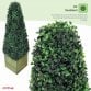 Set of 2 Artificial Topiary Boxwood Pyramid Trees 90cm Indoor Outdoor Decoration