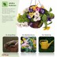 Artificial Hanging Wicker Basket with Multicoloured Pansy Flowers