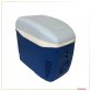 7.5L 12V DC Car Cooler Coolbox Hot Cold Portable Electric Cool