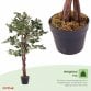 Artificial Ficus Tree Plant 120cm Indoor Outdoor Decoration