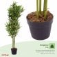 Artificial Bamboo Tree Plant 120cm Indoor Outdoor Decoration