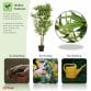 Artificial Bamboo Tree Plant 120cm Indoor Outdoor Decoration