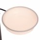 Wild Bird Decorative Feeding Station with Feeder Tray & Bath