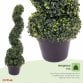 Set of 2 Artificial Topiary Boxwood Spiral Trees 80cm Indoor Outdoor Decoration