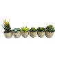 Set of 6 Artificial Succulent Mini Cactus Grass Plants Indoor Decoration