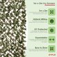 Artificial Ivy Leaf Willow Trellis Expandable Privacy Fence 1x2m