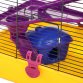 Hamster Mouse Small Animal Indoor Cage with Accessories